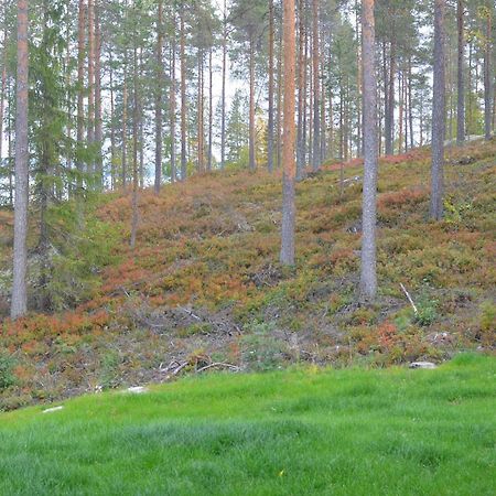 Kainiemen Huvilat Nurmes Quarto foto